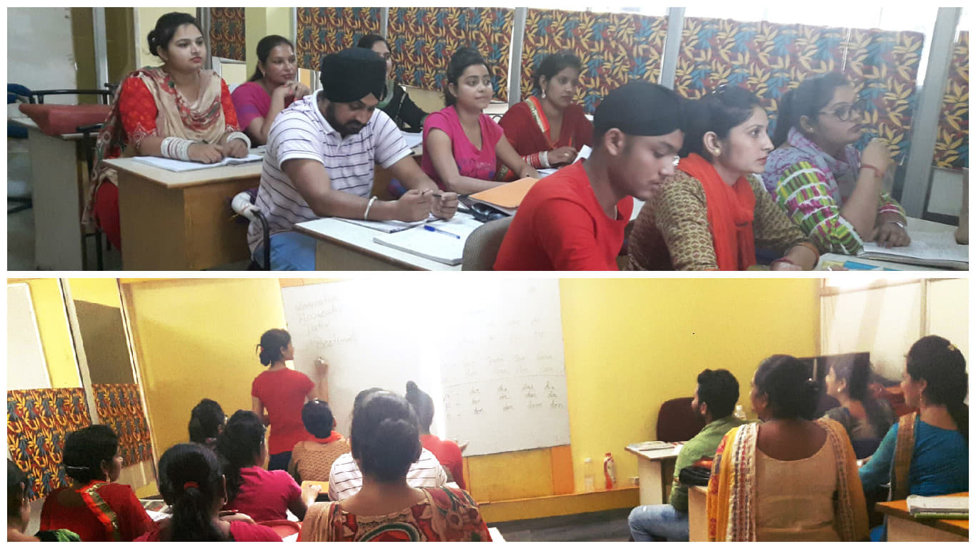 Nids The Language College Nids The Language College photo 3